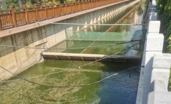 底軸旋轉(zhuǎn)堰門(mén)